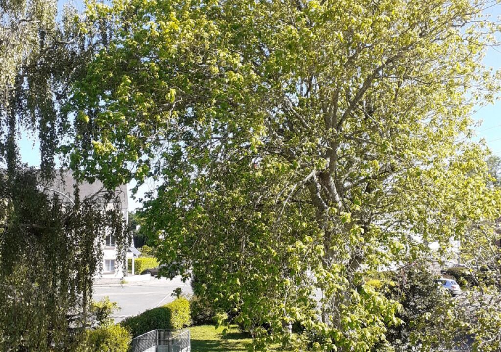 Photo of Outdoor in Pont-l'Abbe