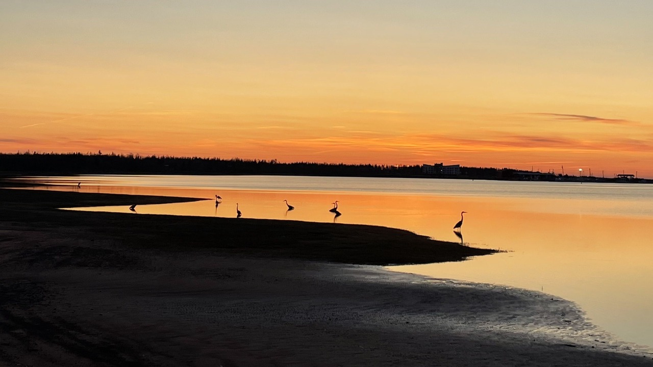 Photo of Others in Grand Tracadie
