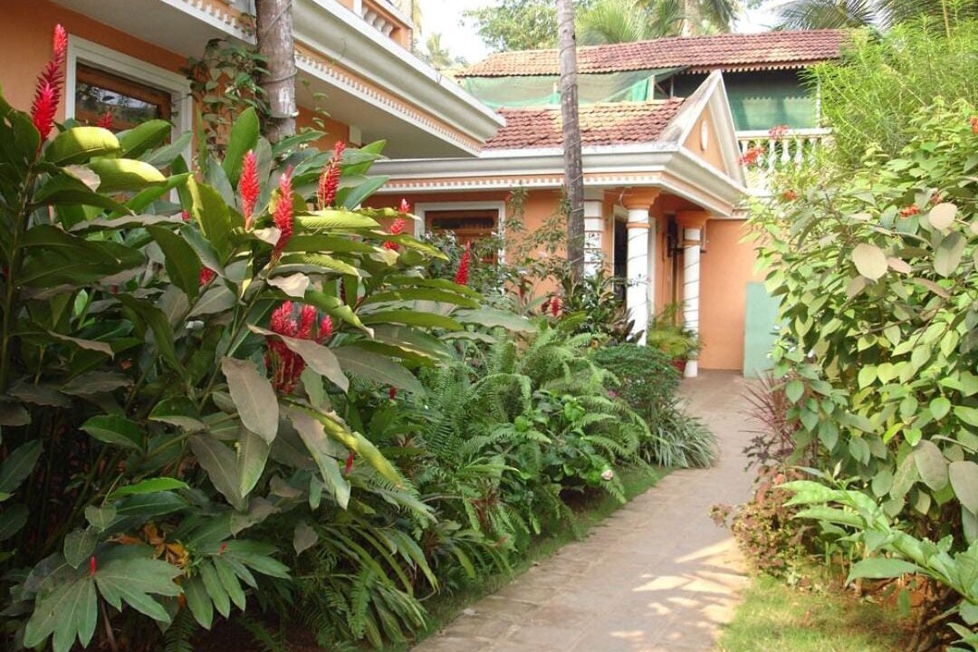 Photo of Outdoor in Colva
