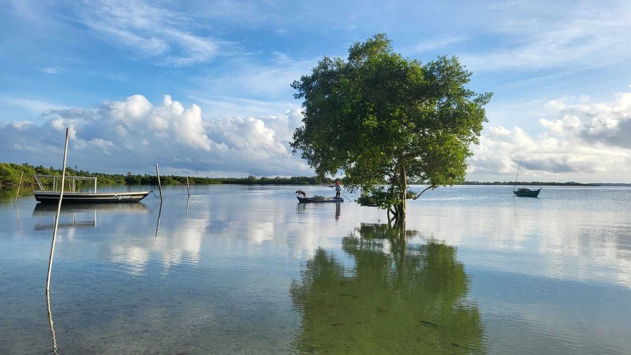Photo of Others in Jaguaripe
