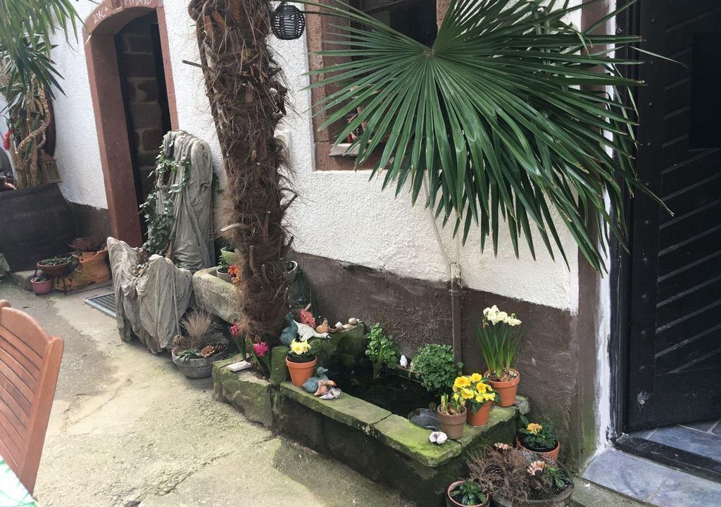 Photo of Outdoor in Leinsweiler