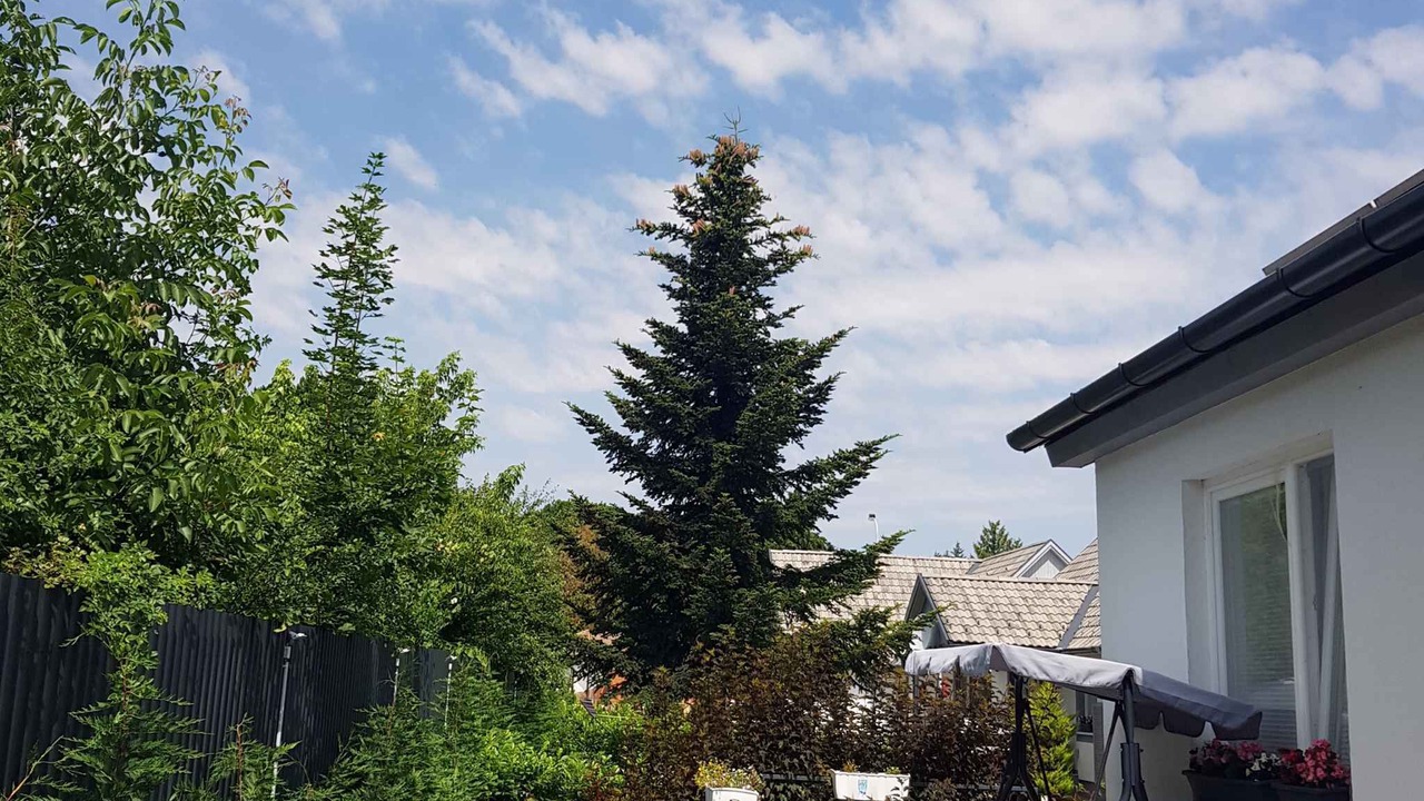 Photo of Outdoor in Bukfurdo