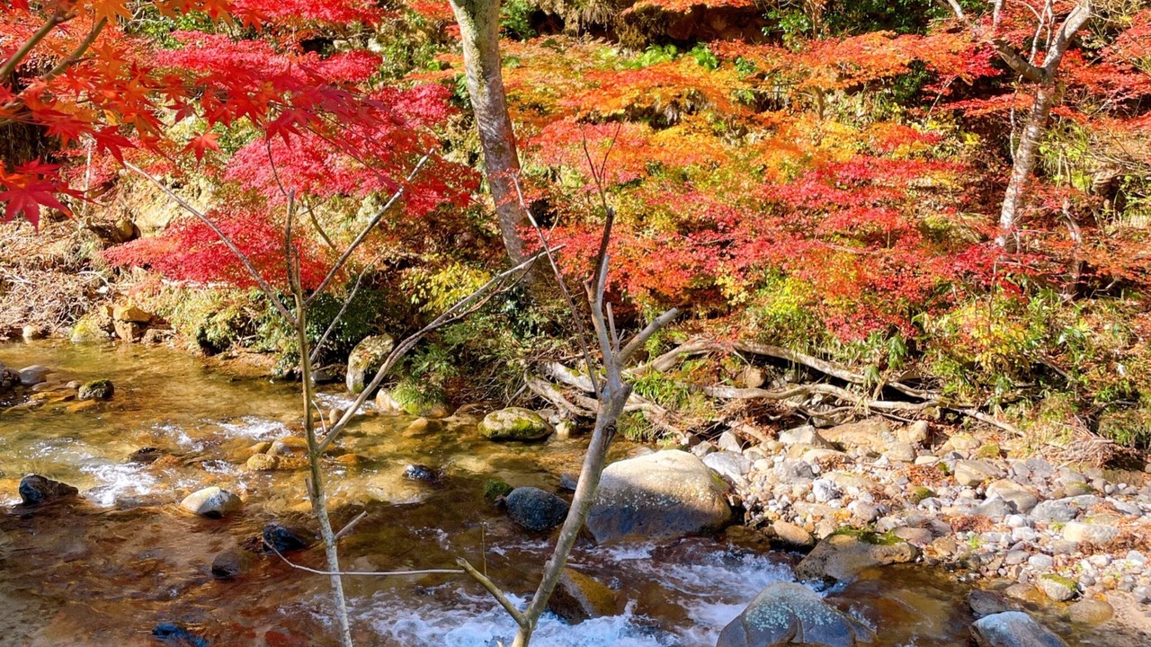 Photo of Others in Mikata-gun