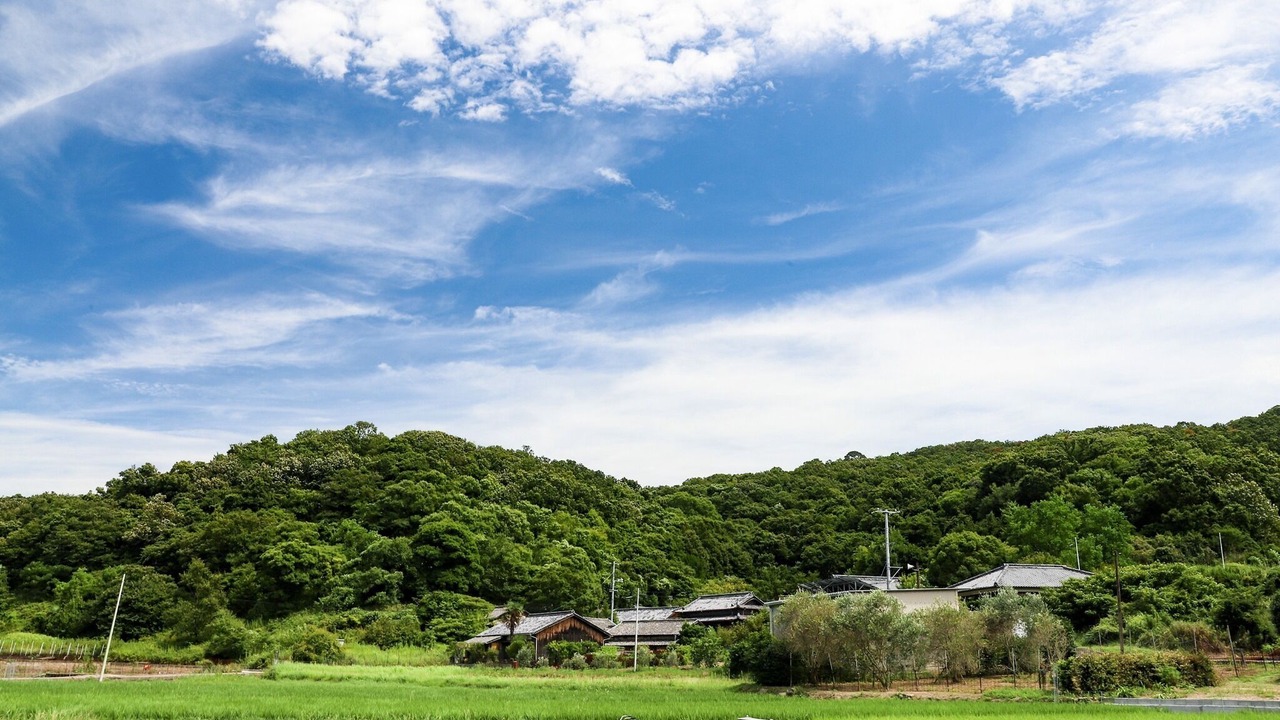 Photo of Others in Shodoshima