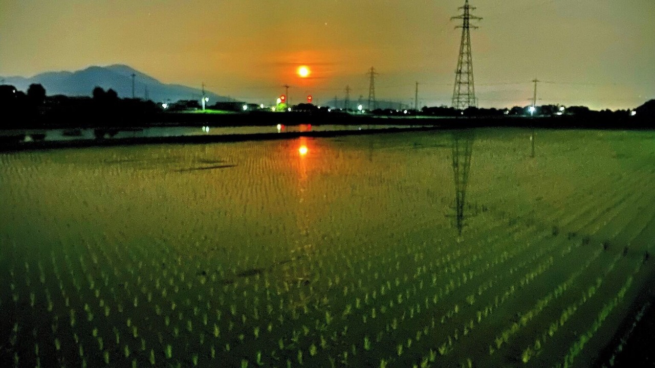 Photo of Others in Nagahama