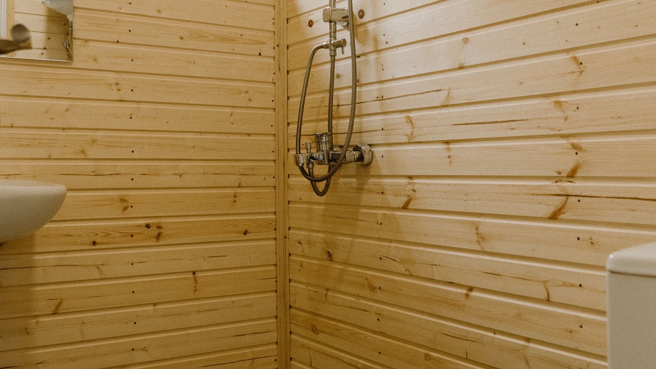 Photo of Bathroom in Bagvdanari
