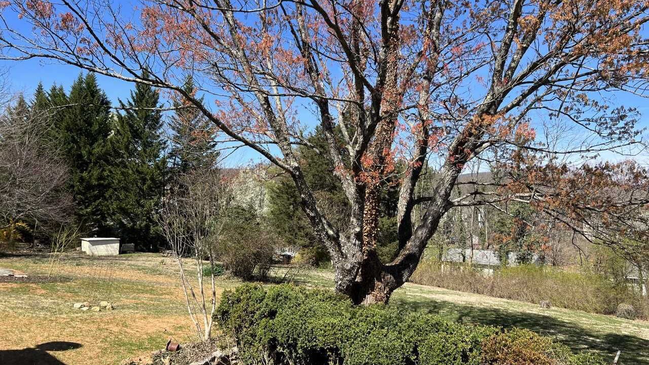 Photo of Outdoor in Hollins