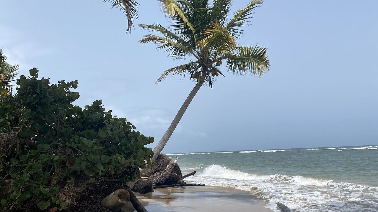 Photo of Others in Punta Santiago