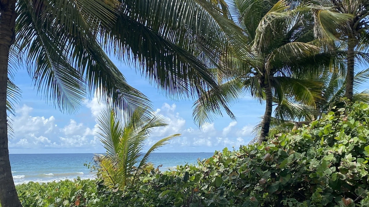 Photo of Others in Punta Santiago