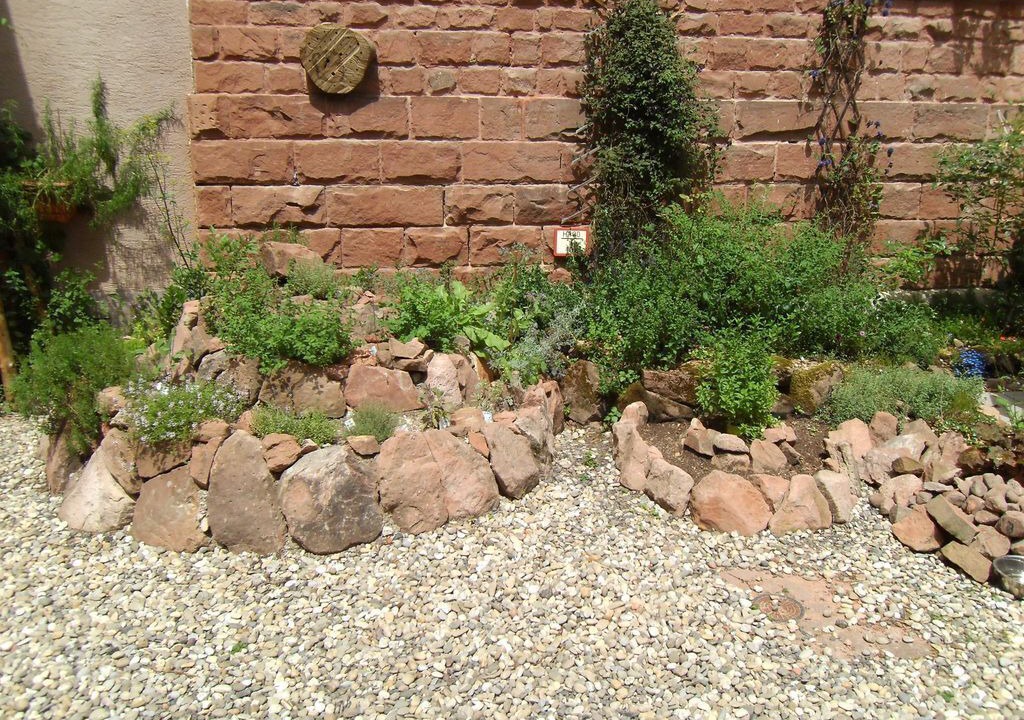 Photo of Outdoor in Wachenheim an der Weinstrasse