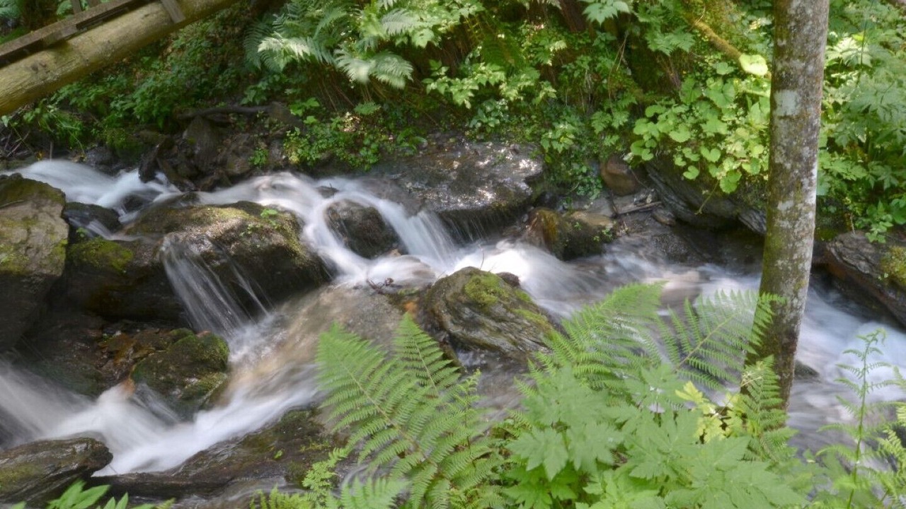 Photo of Others in Mitterberg