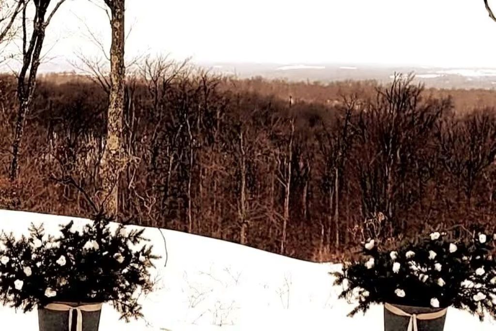 Photo of Outdoor in Philipsburg
