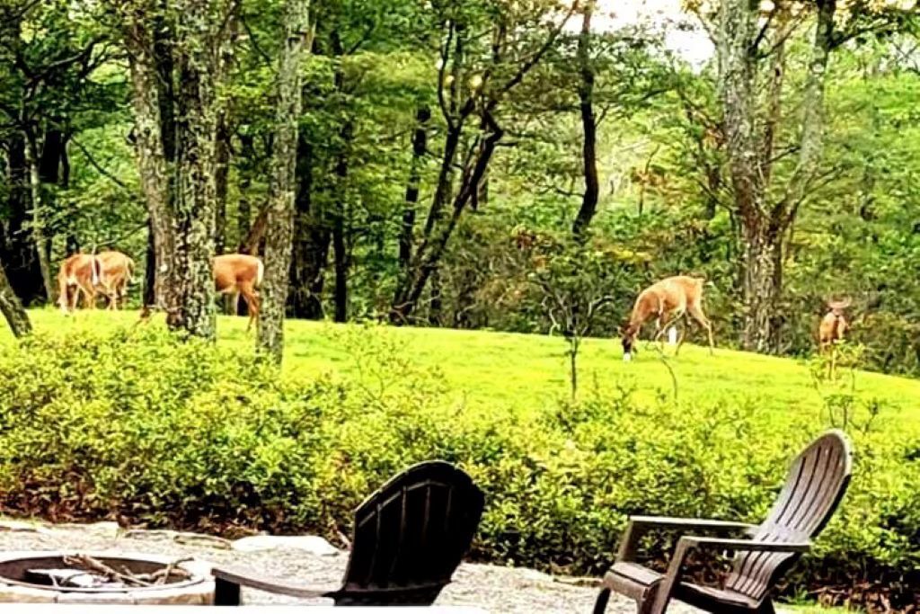 Photo of Outdoor in Philipsburg
