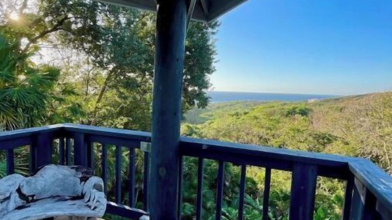 Photo of Outdoor in Dixon Cove