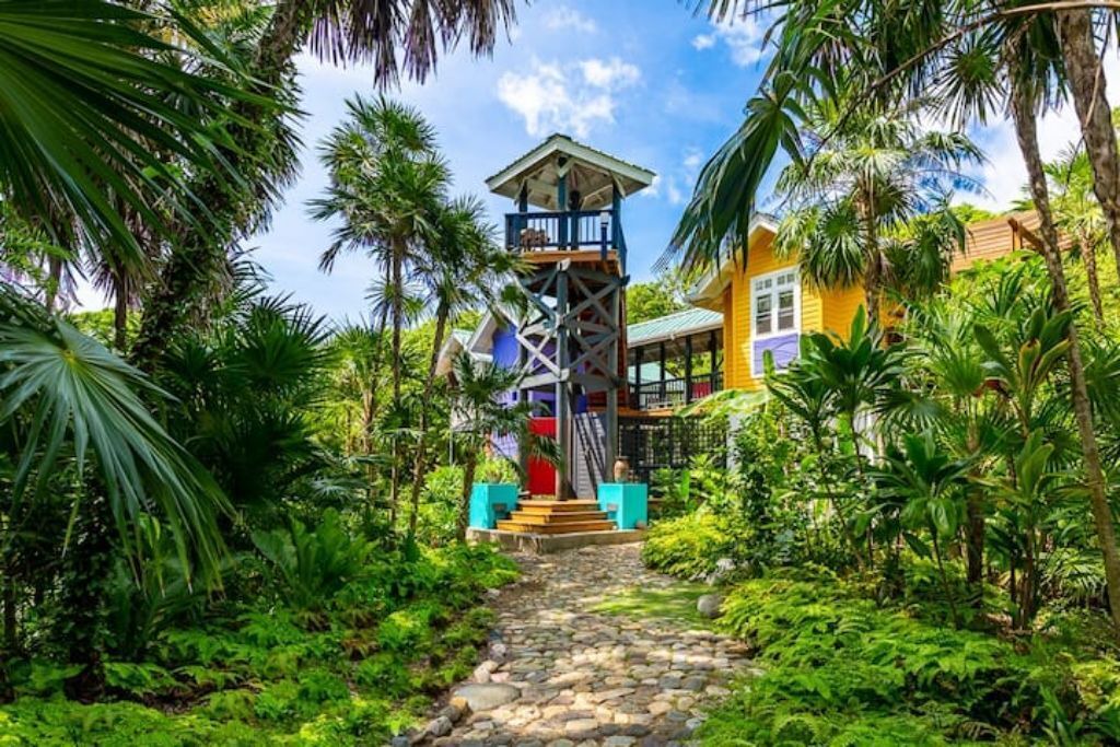 Photo of Outdoor in Dixon Cove