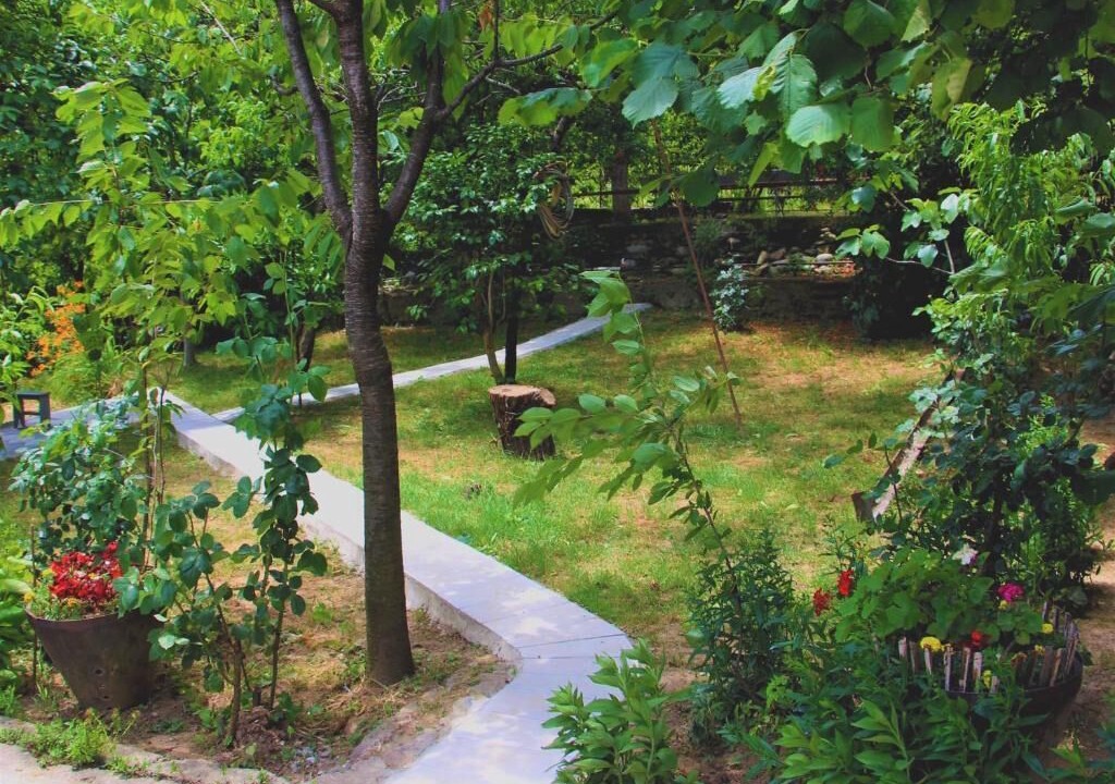 Photo of Outdoor in Kutaisi