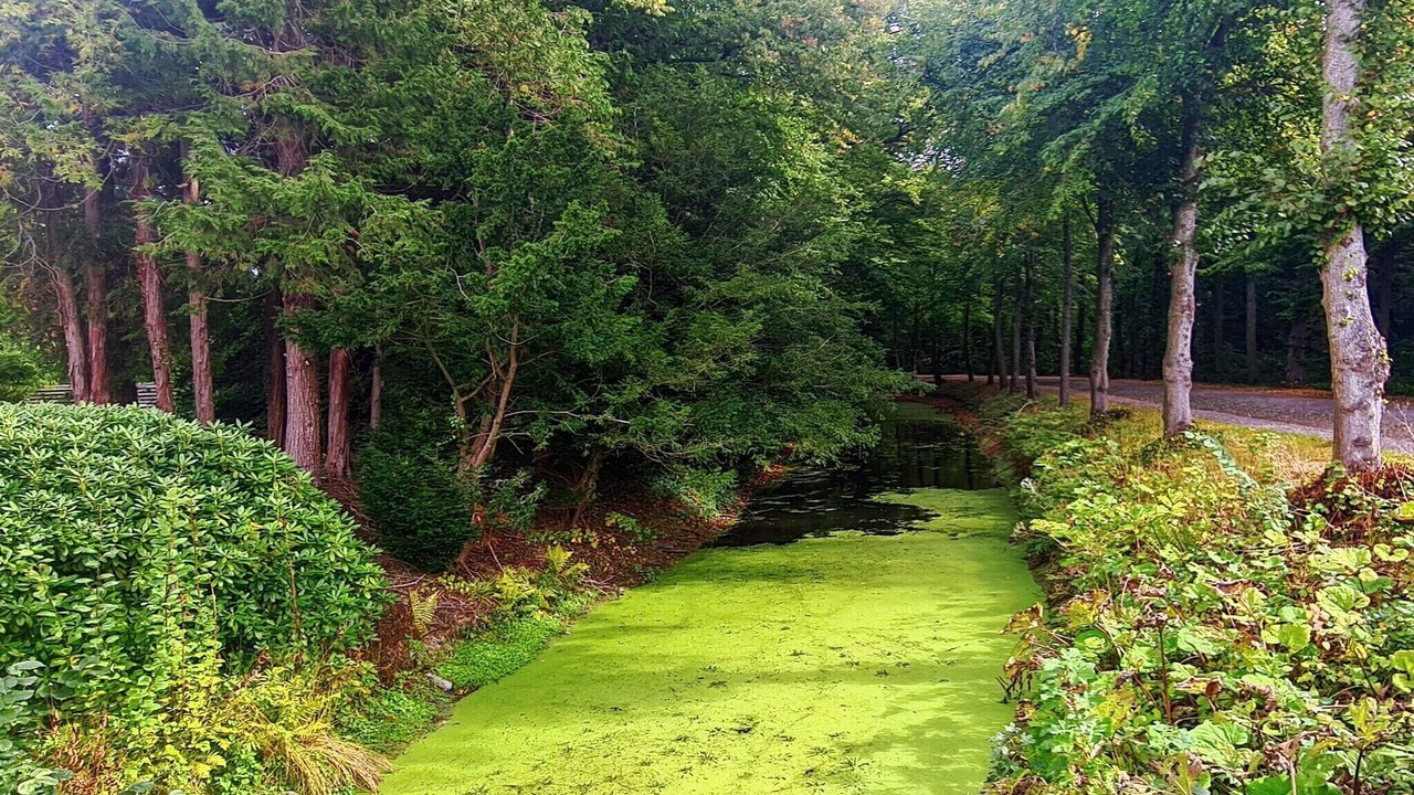 Photo of Outdoor in Tonder