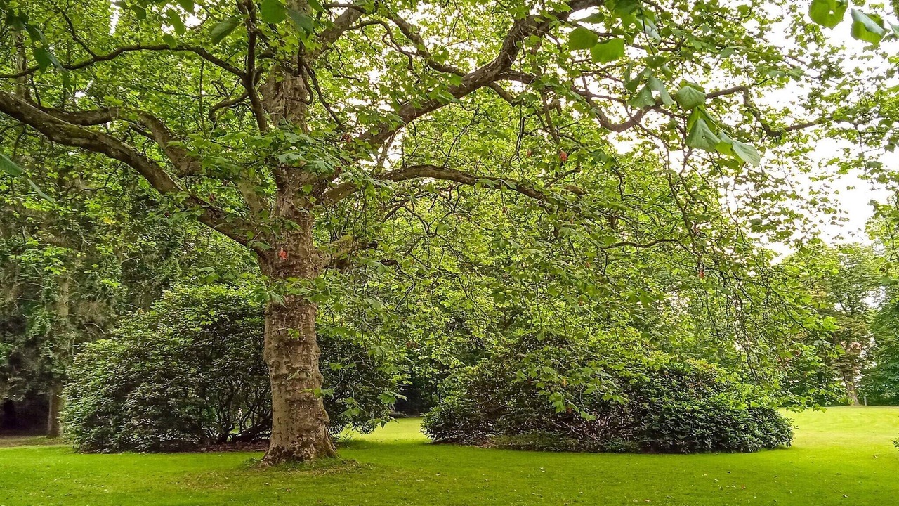 Photo of Outdoor in Tonder