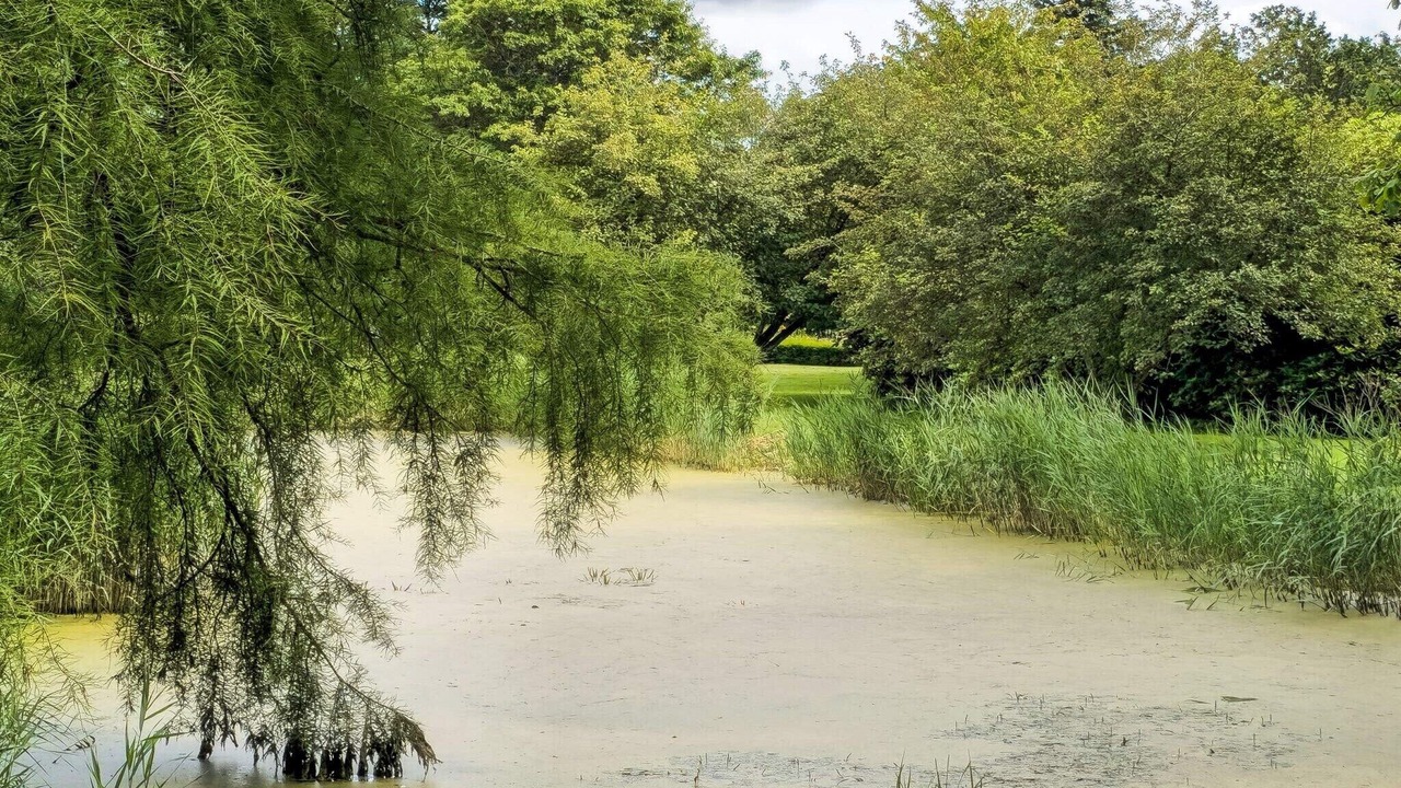 Photo of Outdoor in Tonder