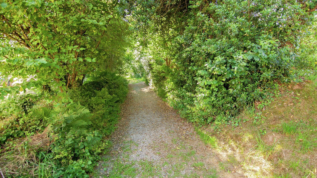 Photo of Others in Saint-Leonard-de-Noblat