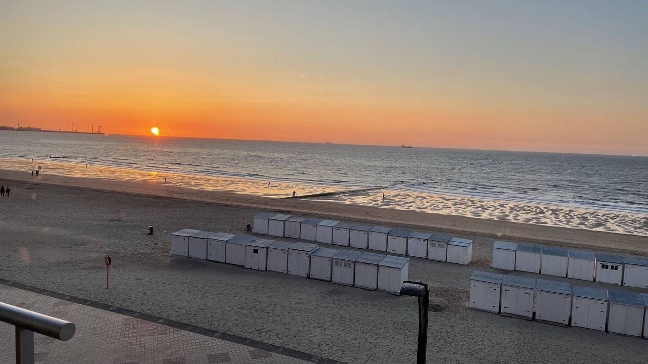Photo of Others in Knokke