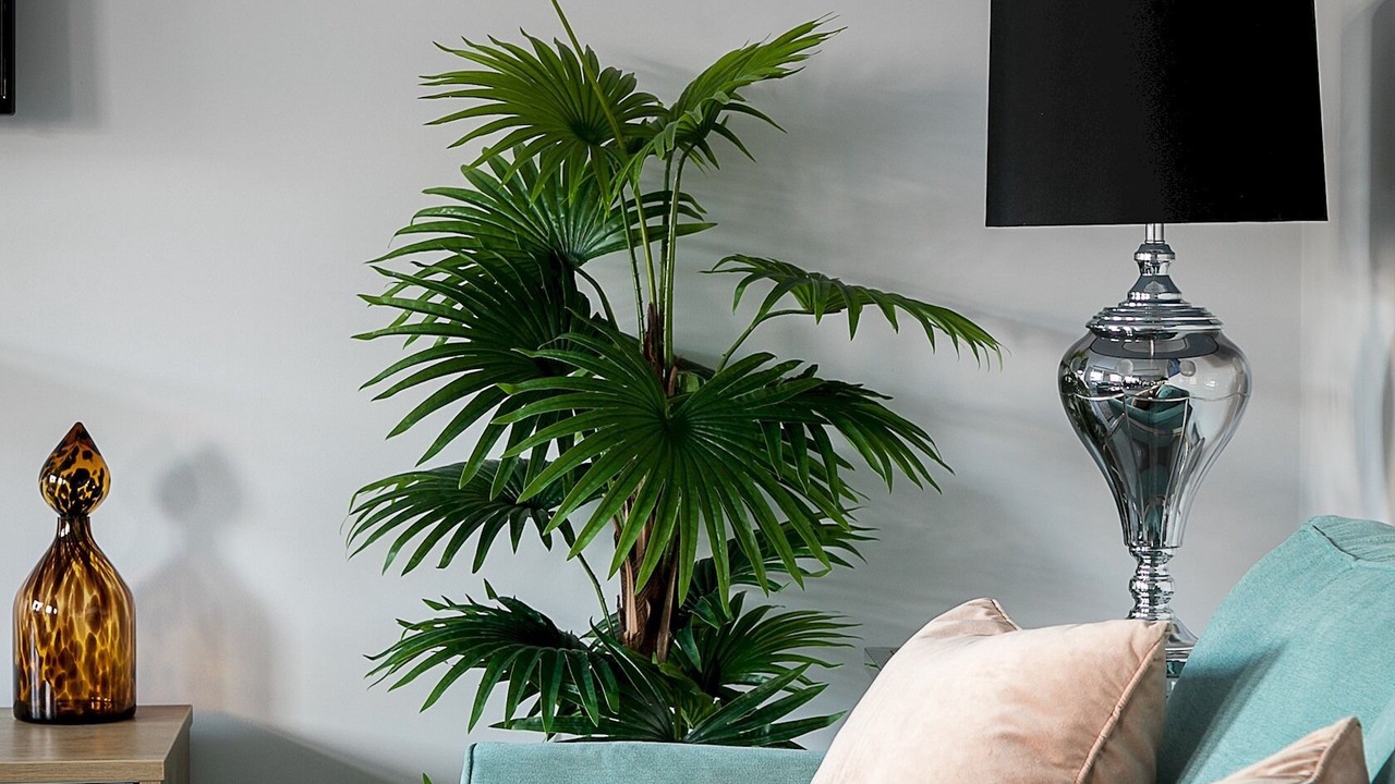 Photo of Livingroom in Earl's Court