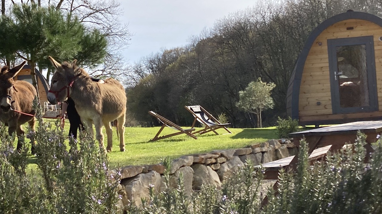 Photo of Outdoor in Chazelles