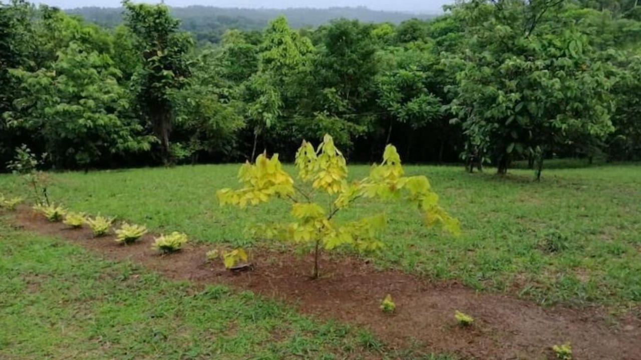 Photo of Outdoor in Cavinti