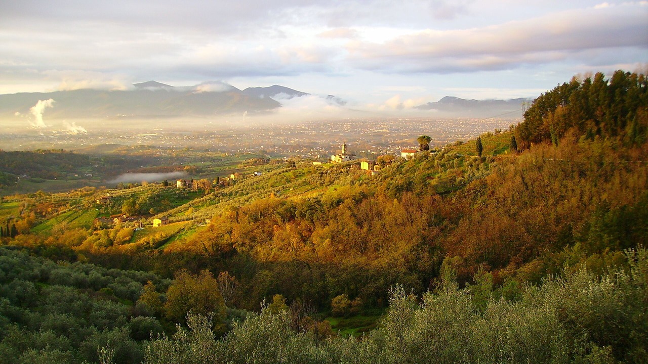 Photo of Outdoor in Petrognano