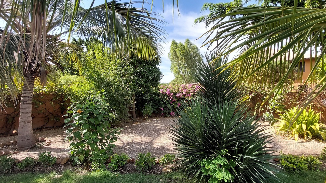 Photo of Outdoor in Nianing