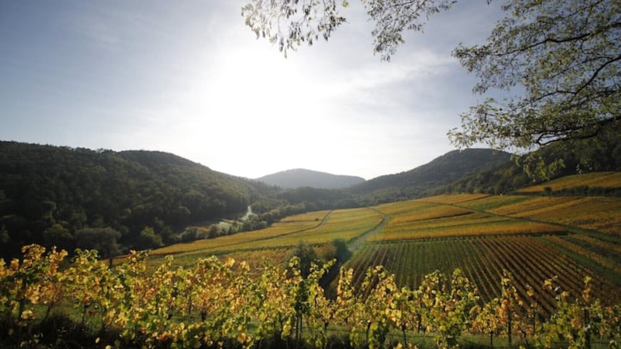 Photo of Others in Ranschbach