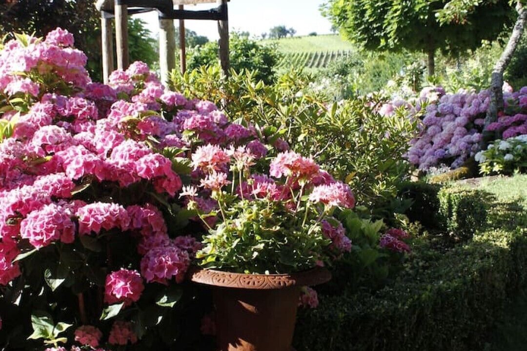 Photo of Outdoor in Ranschbach