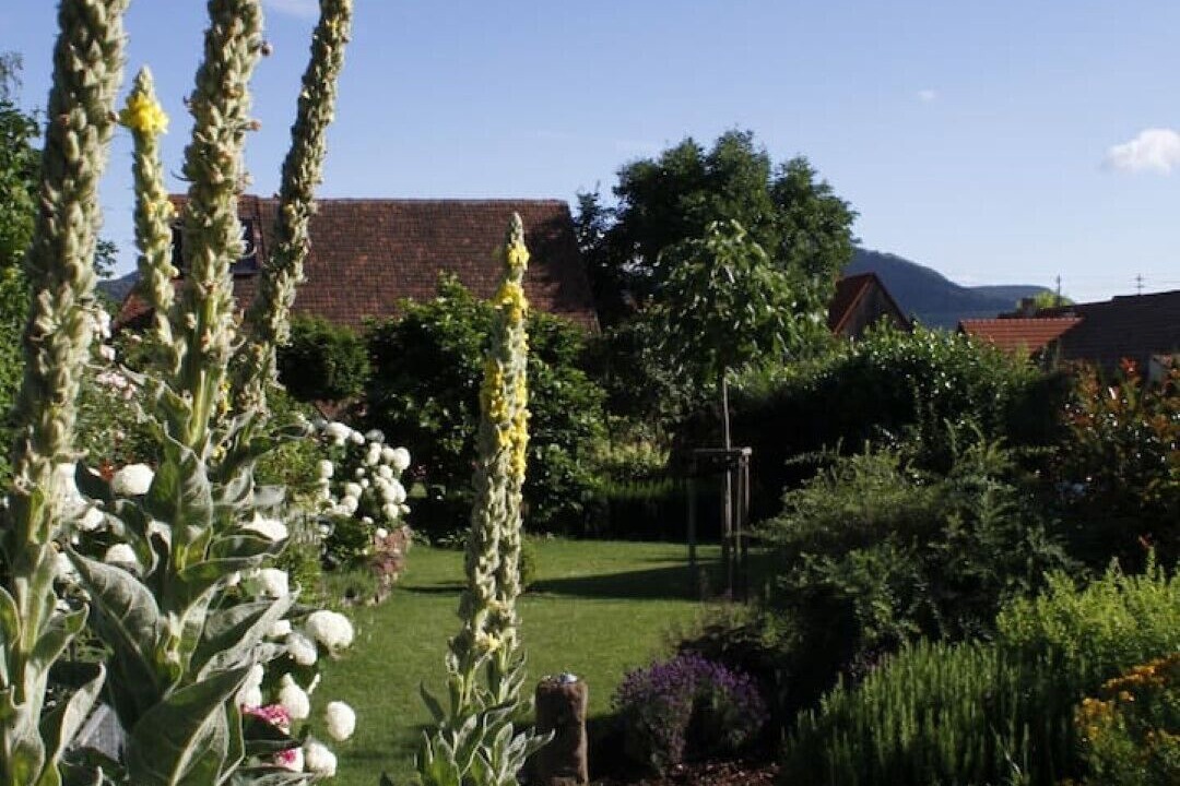 Photo of Outdoor in Ranschbach