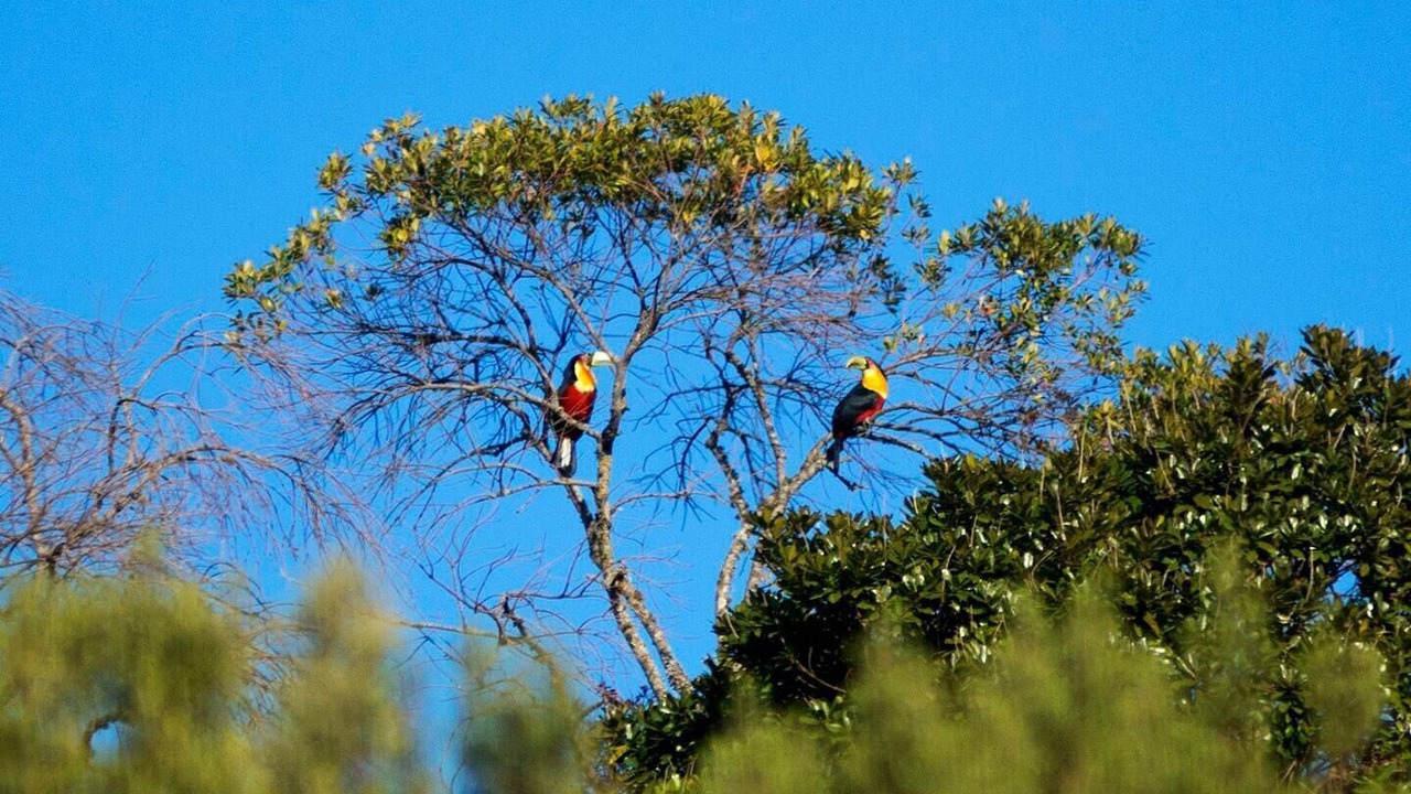 Photo of Others in Corrego do Bom Jesus