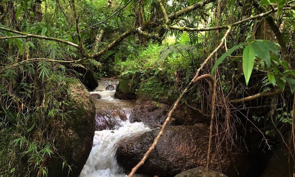 Photo of Outdoor in Corrego do Bom Jesus