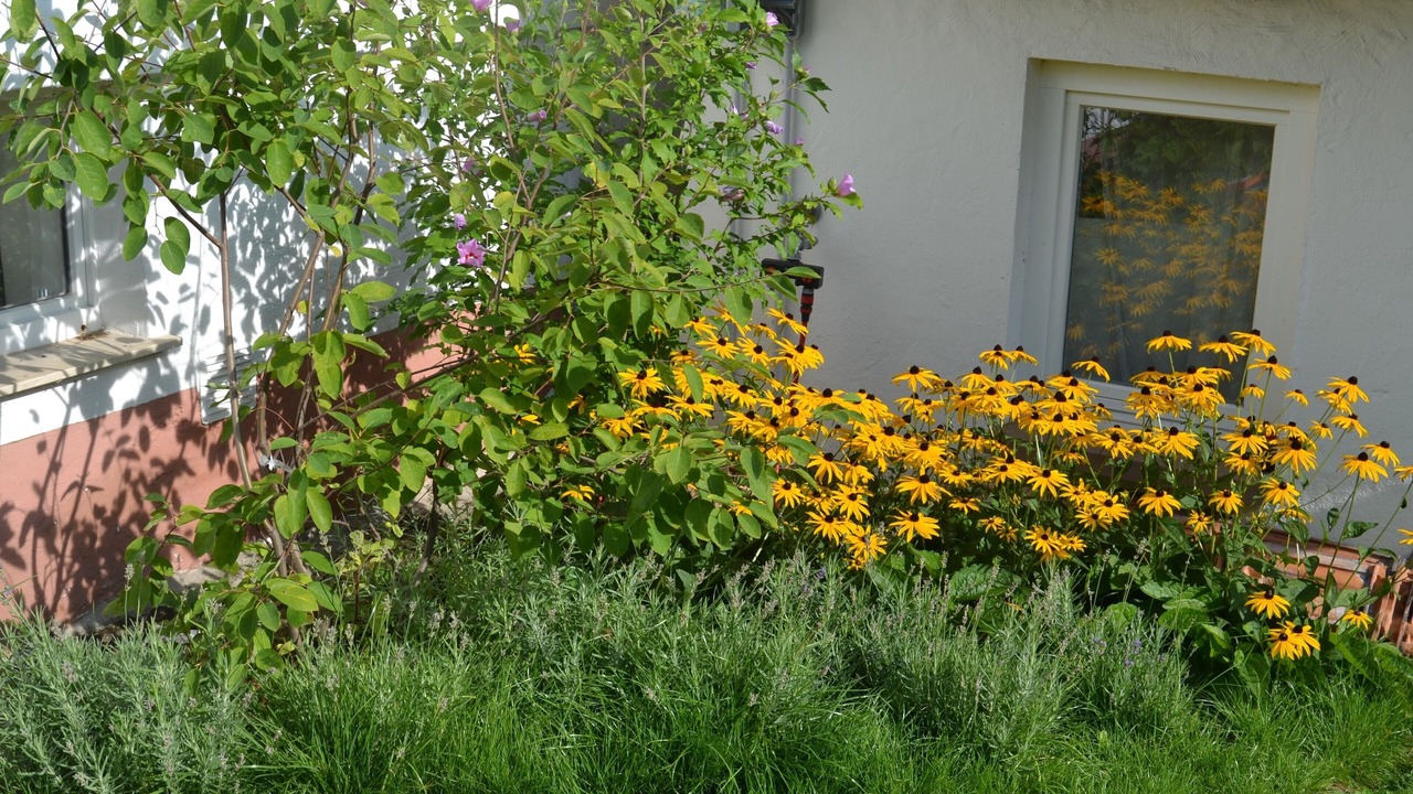 Photo of Outdoor in Rhodt unter Rietburg