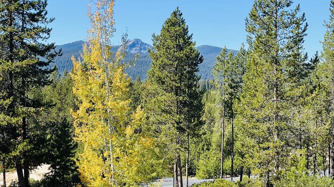 Photo of Outdoor in Crescent