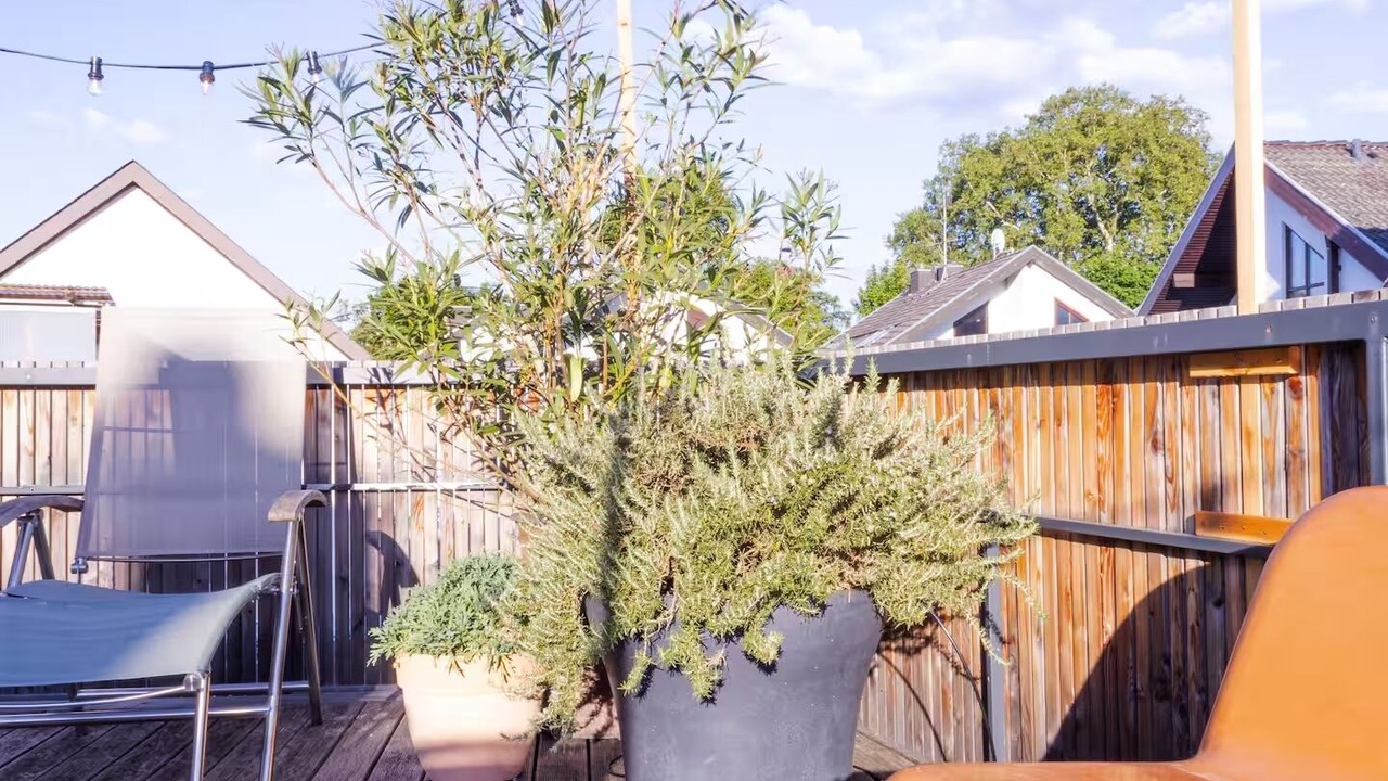Photo of Outdoor in Deidesheim