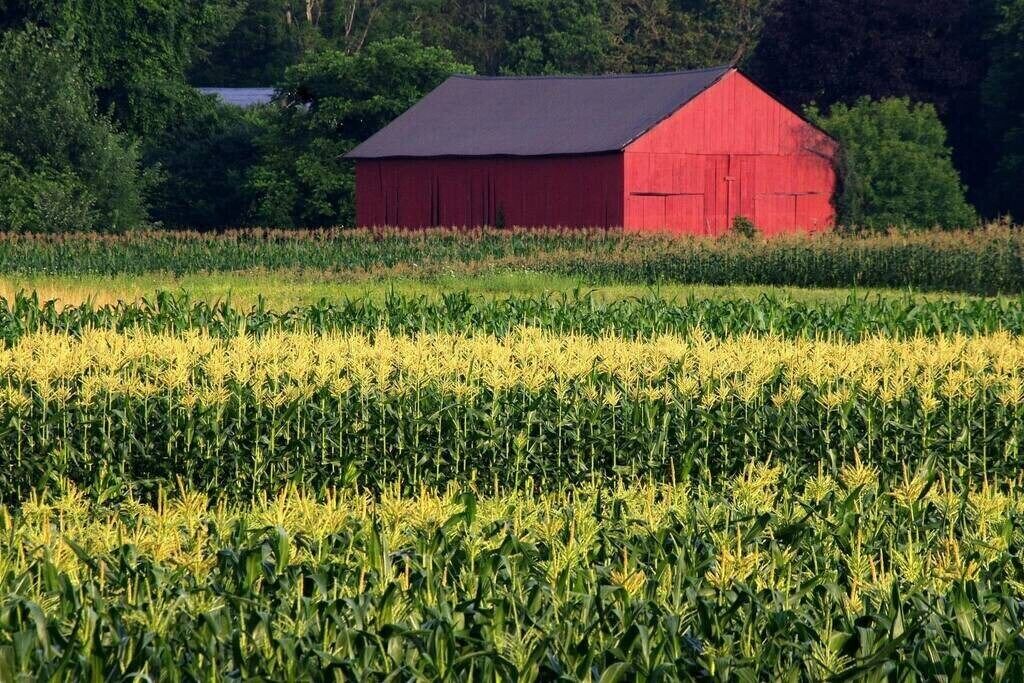 Photo of Others in Hadley