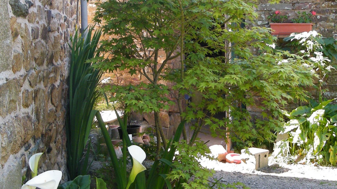 Photo of Outdoor in Lannion