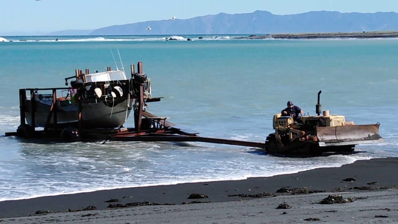 Photo of Others in Cape Palliser