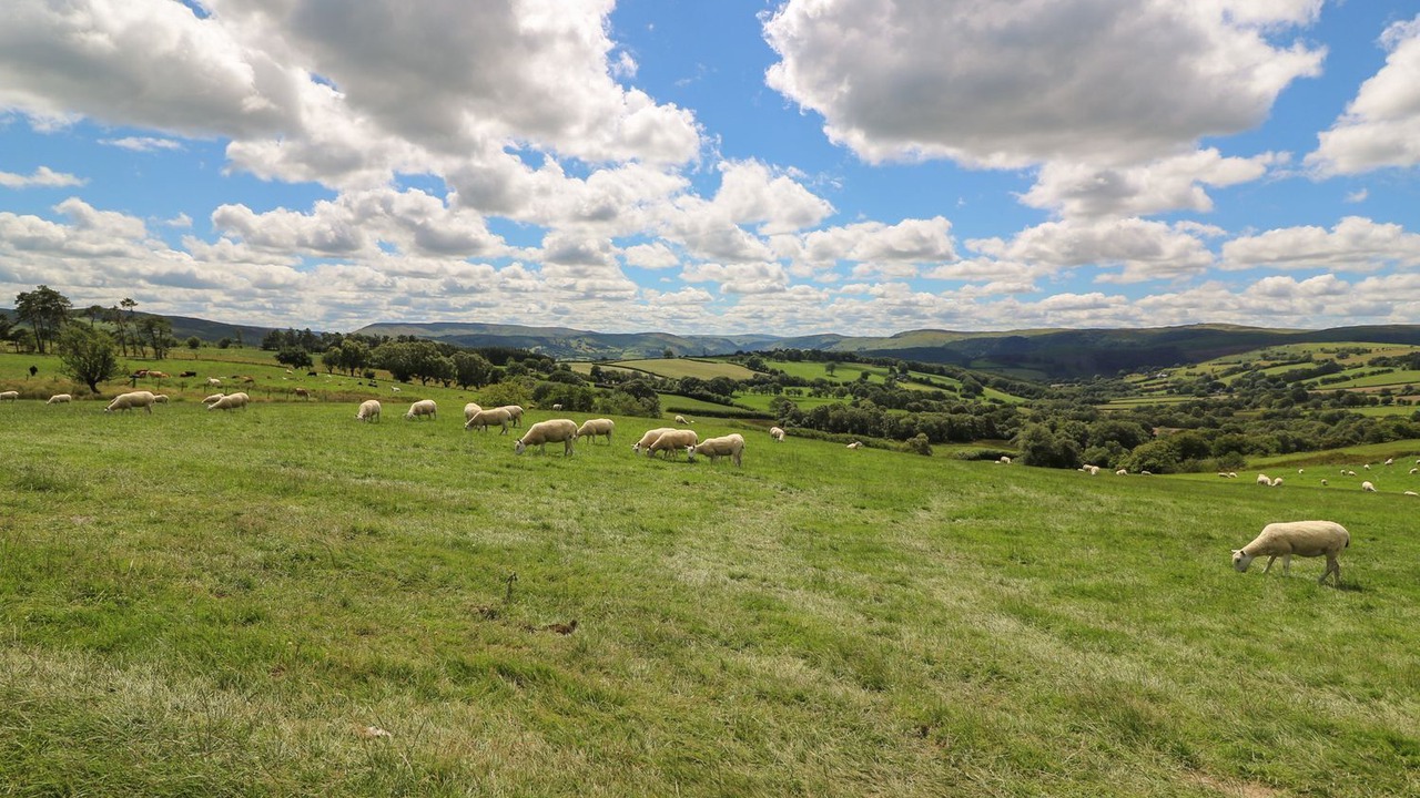 Photo of Others in Rhayader