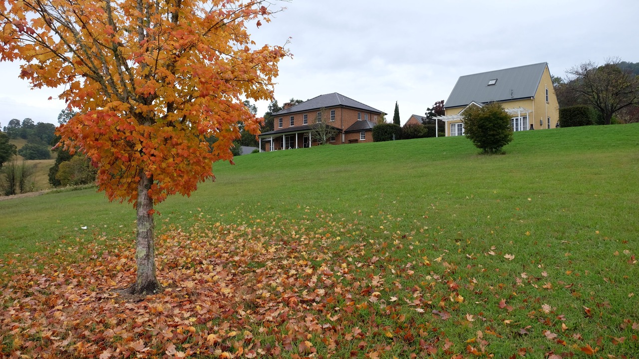 Photo of Outdoor in Mograni