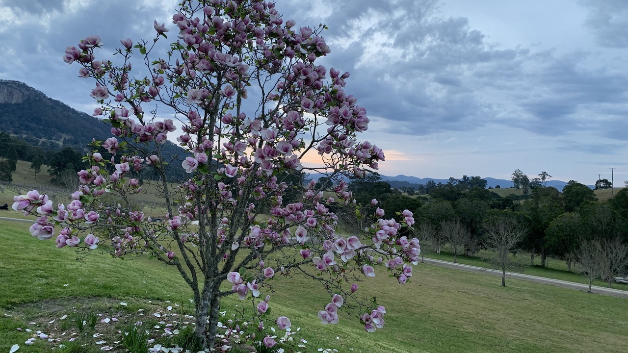 Photo of Outdoor in Mograni