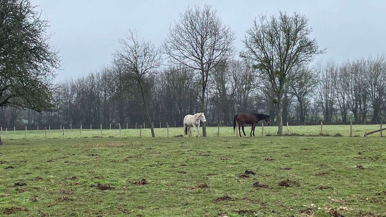 Photo of Outdoor in Saint-Georges-du-Rosay