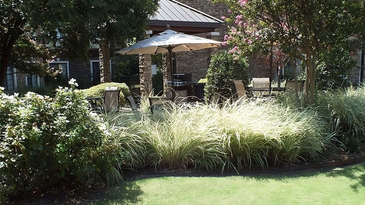 Photo of Outdoor in Las Colinas