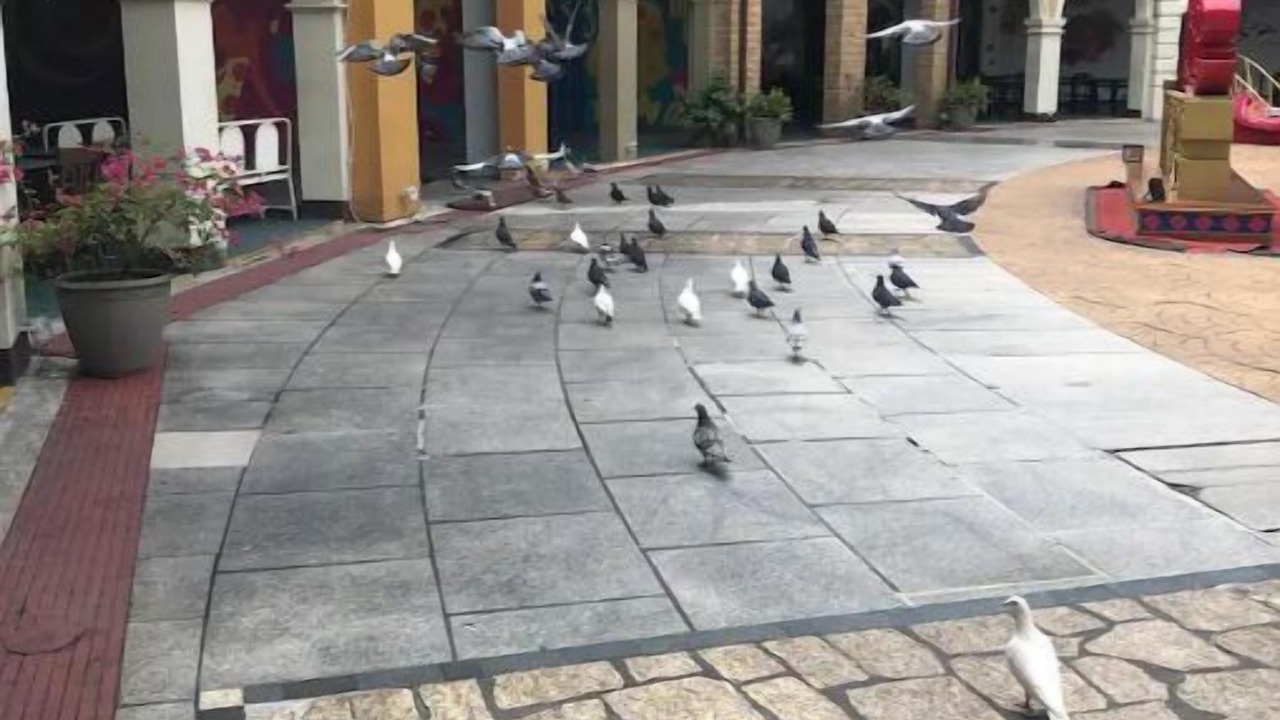 Photo of Outdoor in Makati