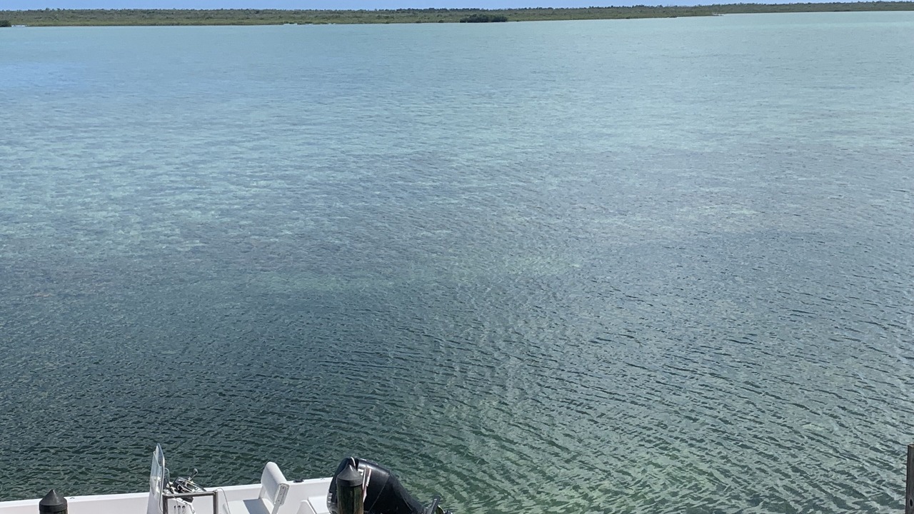 Photo of Outdoor in Bay Point