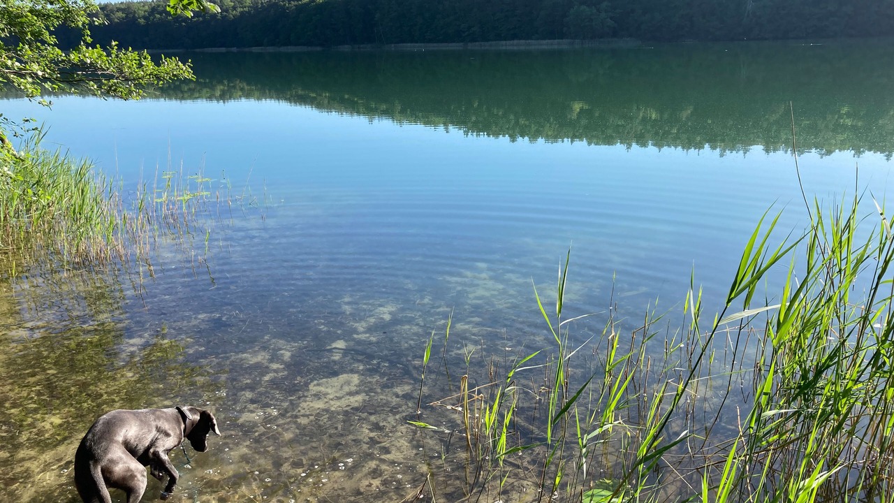 Photo of Outdoor in Lychen
