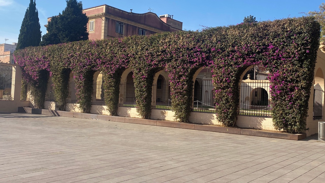 Photo of Outdoor in Viladecans